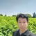 嫁接柿子砧木黑枣苗软枣苗0.6-1公分粗