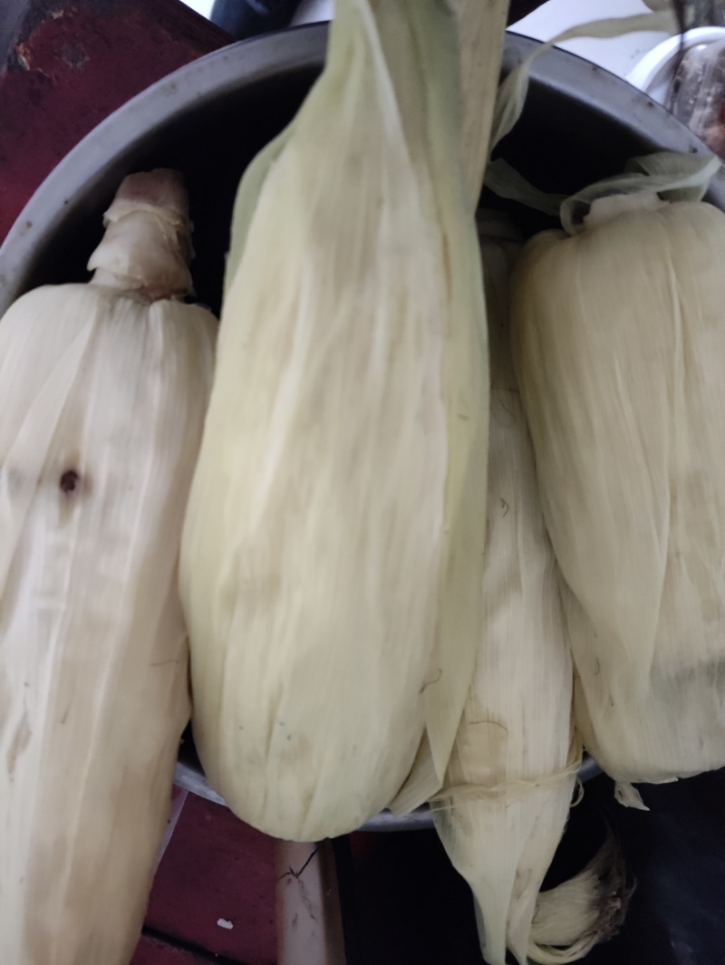 万儒2000精品糯玉米