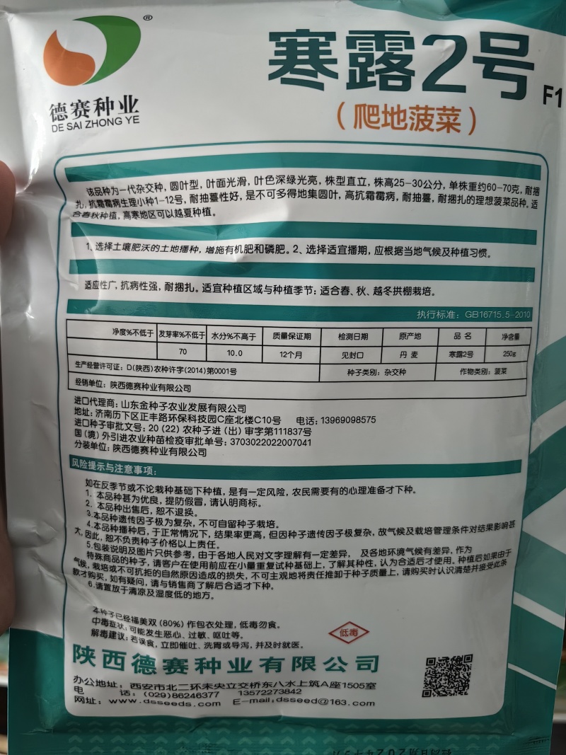 寒露2号爬地菠菜种子趴地耐寒耐热抗霜霉病圆叶春秋塌地菠菜