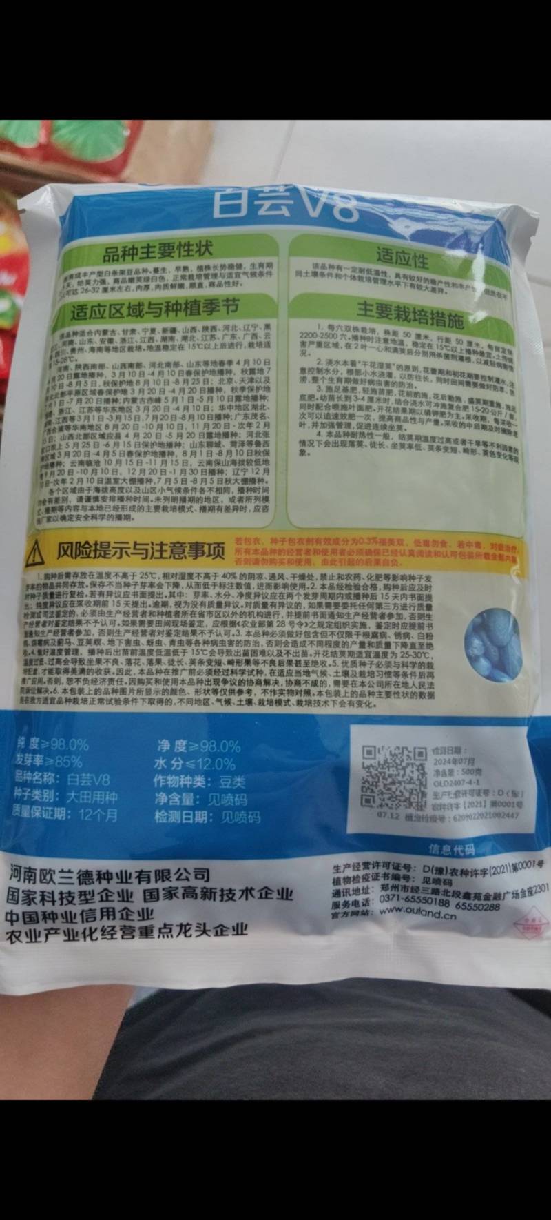 白芸V8早熟芸豆种子欧兰德高端四季豆种子无筋白荚高产