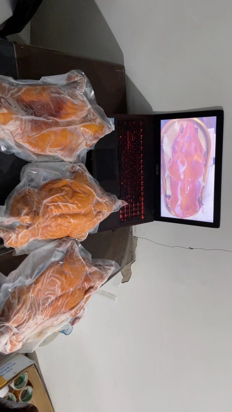 乳猪半成品，现烤现发，鲜香美味
