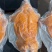 乳猪半成品，现烤现发，鲜香美味