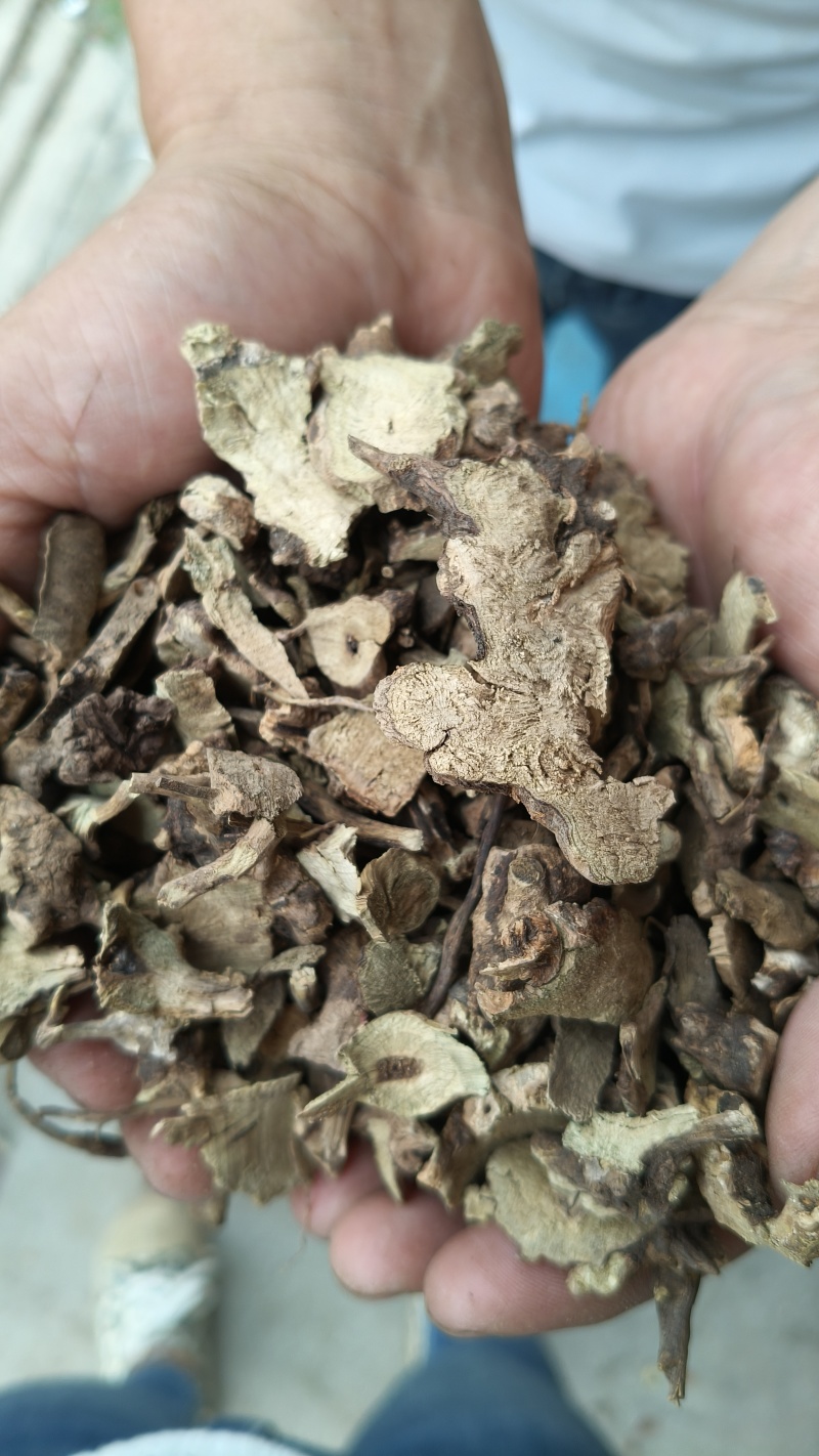 香茶菜根铁菱角无硫无杂质野生药材
