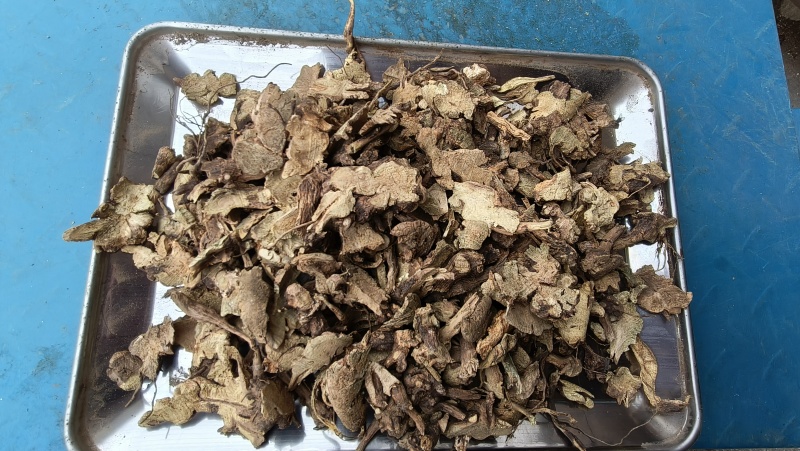 香茶菜根铁菱角无硫无杂质野生药材