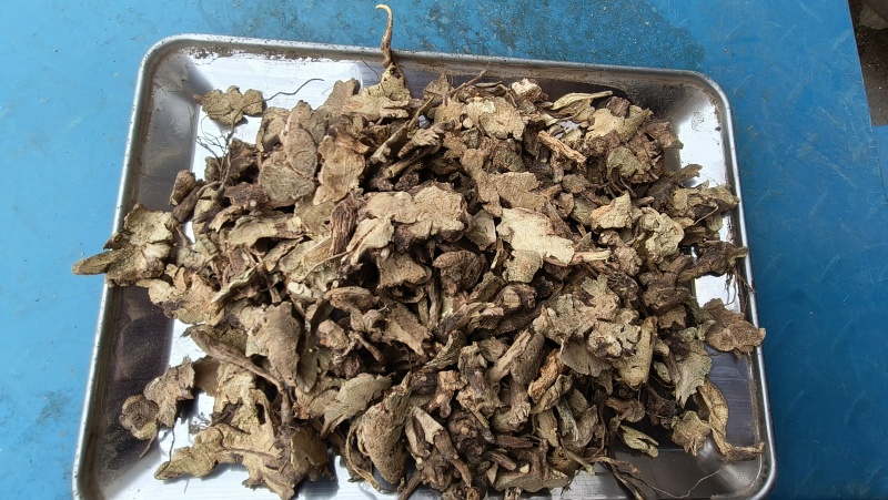 香茶菜根铁菱角无硫无杂质野生药材