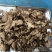 香茶菜根铁菱角无硫无杂质野生药材