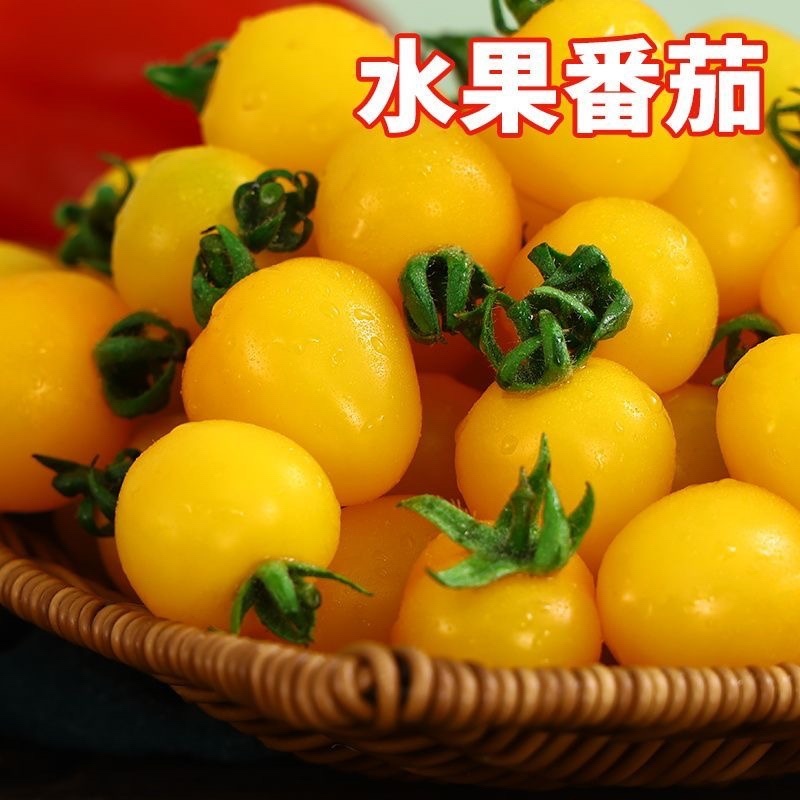 寿光圣女果产地直发多色圣女果支持一件代发