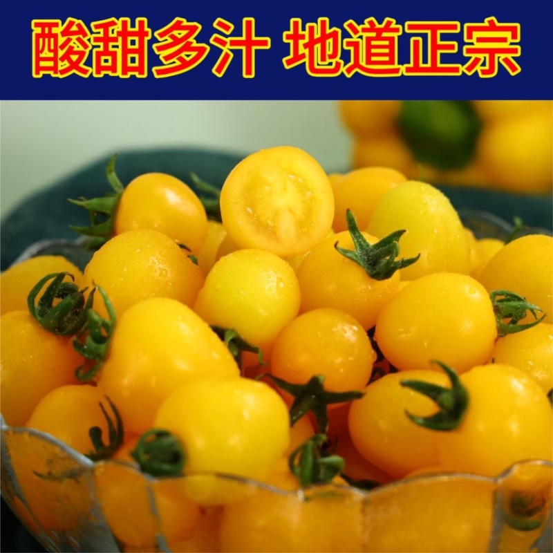 寿光圣女果产地直发多色圣女果支持一件代发