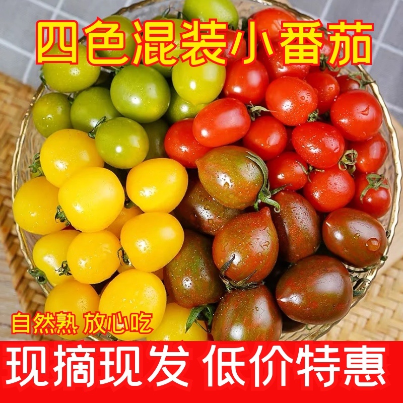 寿光圣女果产地直发多色圣女果支持一件代发