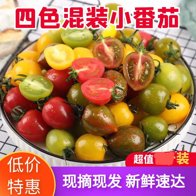 寿光圣女果产地直发多色圣女果支持一件代发