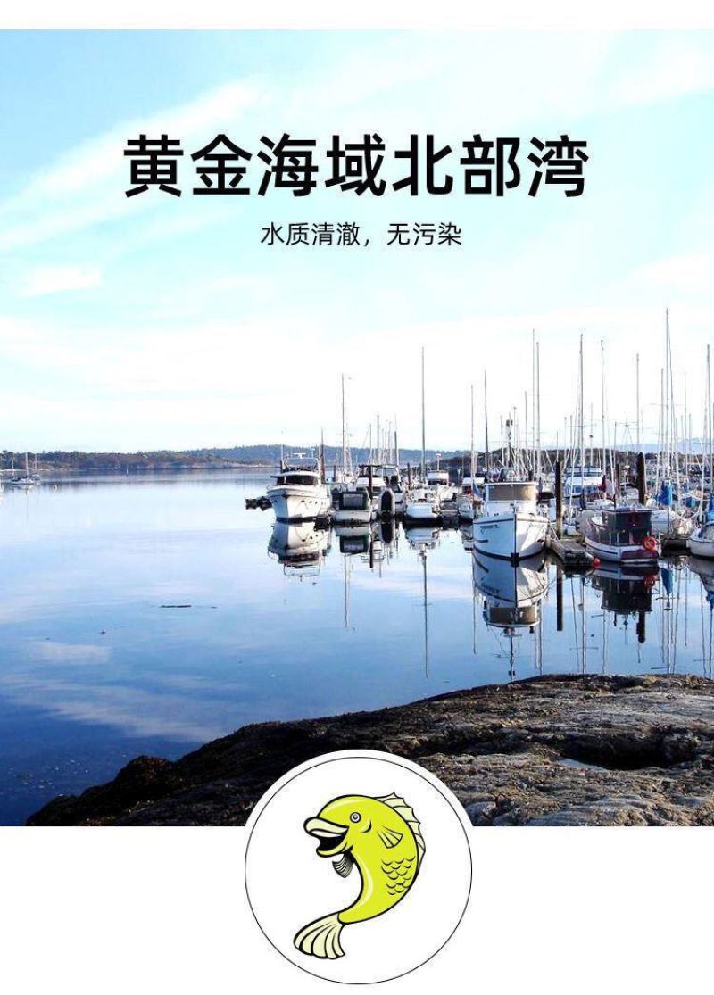 新品地摊，农贸鱿鱼须脆口鱿鱼大中条圈火锅烧烤鱿鱼条漂烫