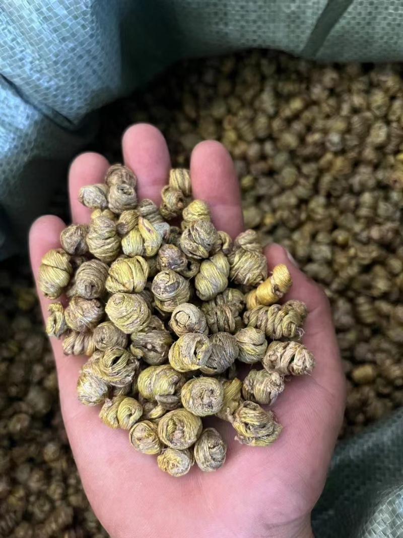 石斛年崖壁生长铁皮枫斗颗粒干石斛胶质多可代磨