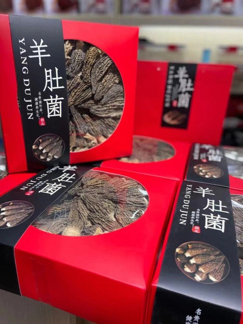 常年大量批发羊肚菌