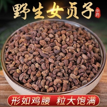 女贞子中药材正品克女贞子泡茶