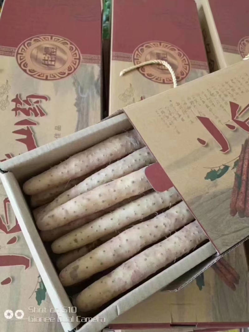一件代发品种齐全，对接全国，产地直发，按需包装