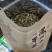 茶头。单纵