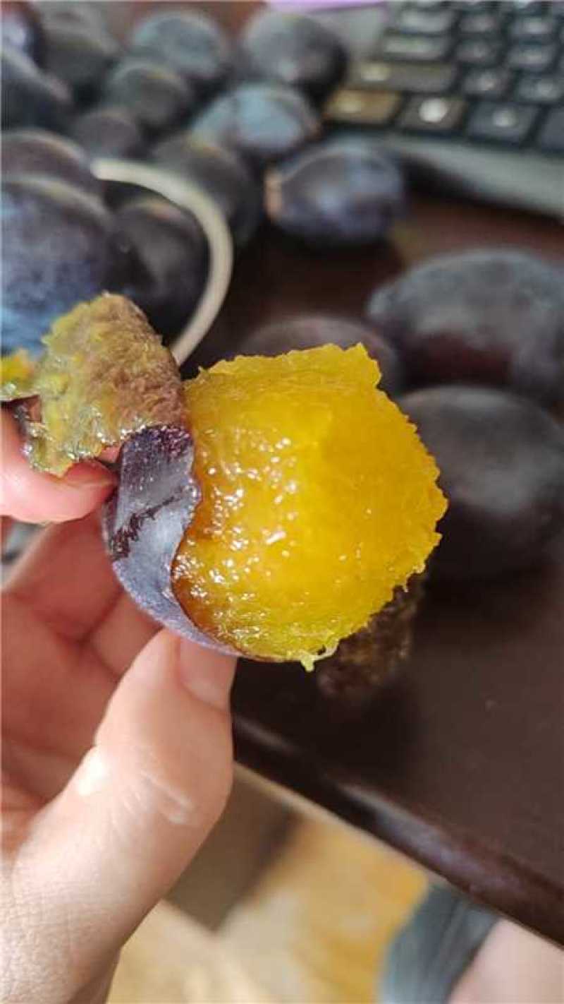 甘肃酒泉西梅一件代发，电商，团购