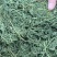 紫花苜蓿草捆