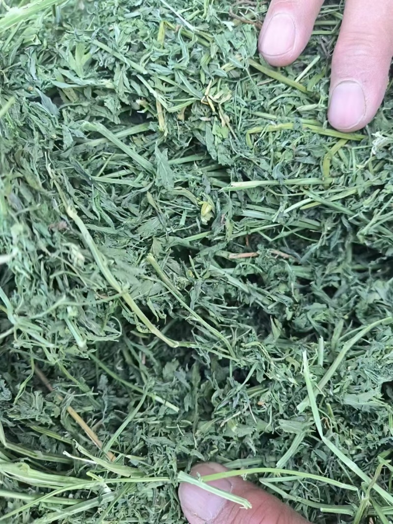 紫花苜蓿草捆