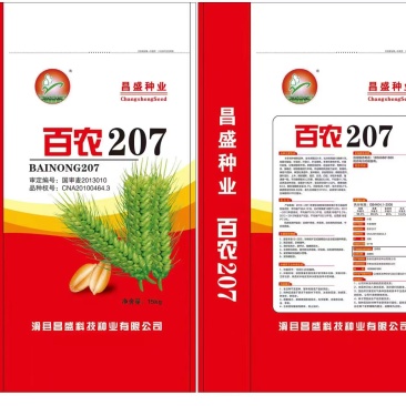 百农207国审高产小麦种子，矮杆大穗！国审可留种