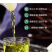 【包邮】山西汾白酒竹叶酒45度10斤大桶散装露酒整箱