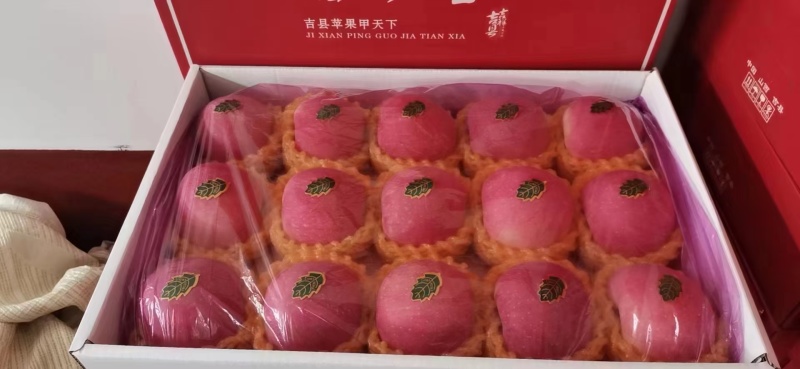 吉县红富士苹果已经大量上市