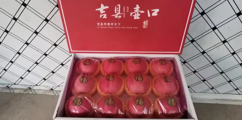 吉县红富士苹果已经大量上市