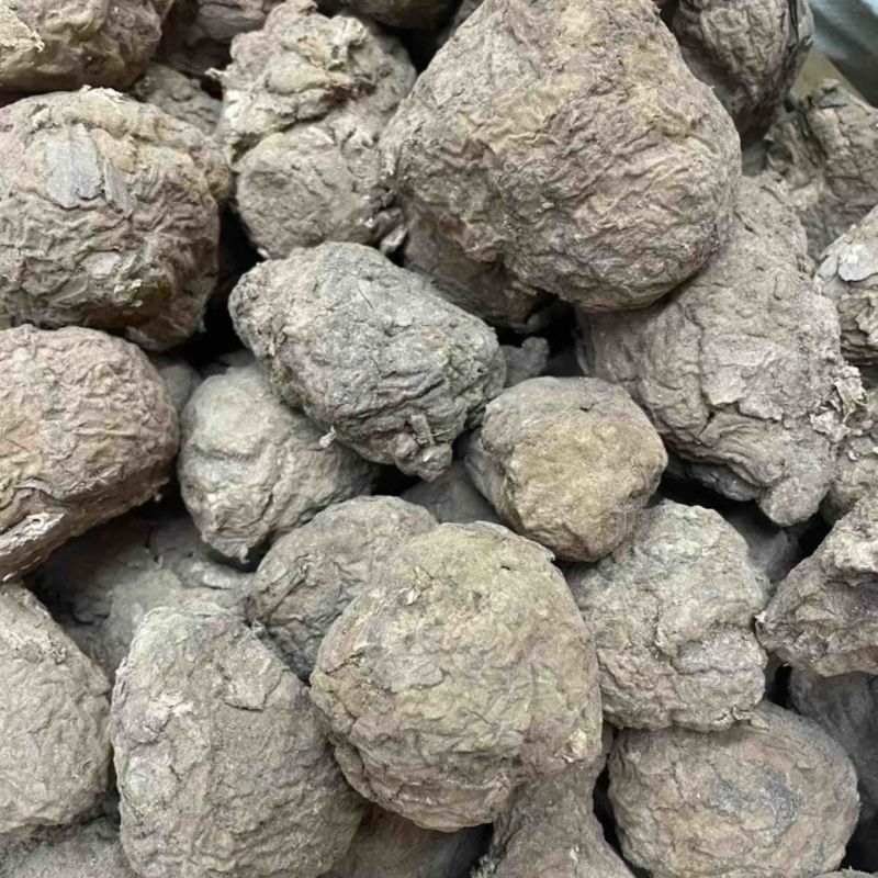 云南仿野生茯苓小个茯苓林下茯苓小个晒干茯苓整个批发茯苓