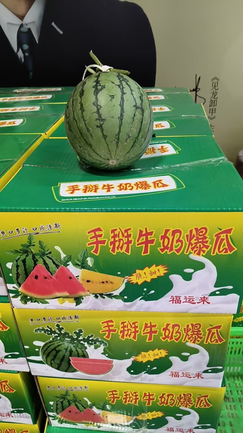 陕西渭南西瓜-938吊兰西瓜产区大棚吊篮西瓜大量现货供应