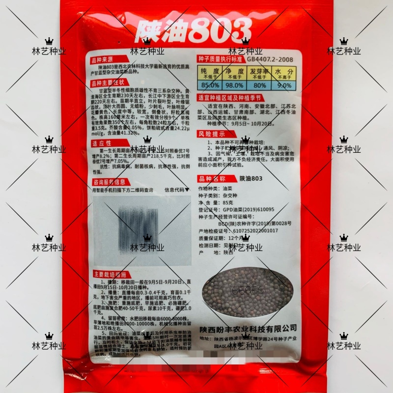 陕油803油菜种子高产抗病耐裂荚油菜籽种籽农家大田基地春
