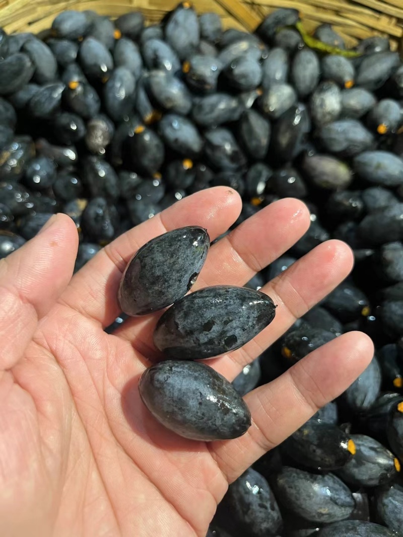 黑油橄榄