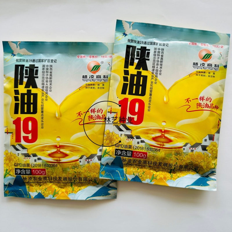 陕油19号油菜籽种子陕西油菜花种籽榨油香非转基因油菜种子