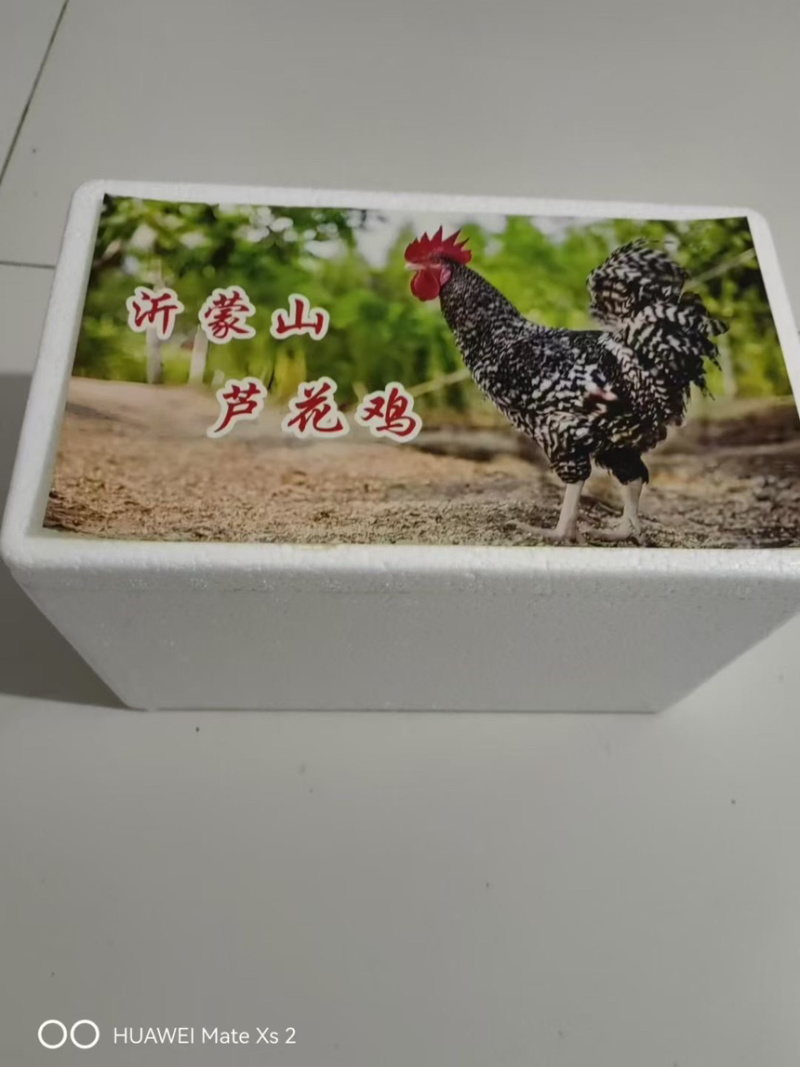 芦花鸡现杀活鸡大吨位供应接电商社区团购直播供应