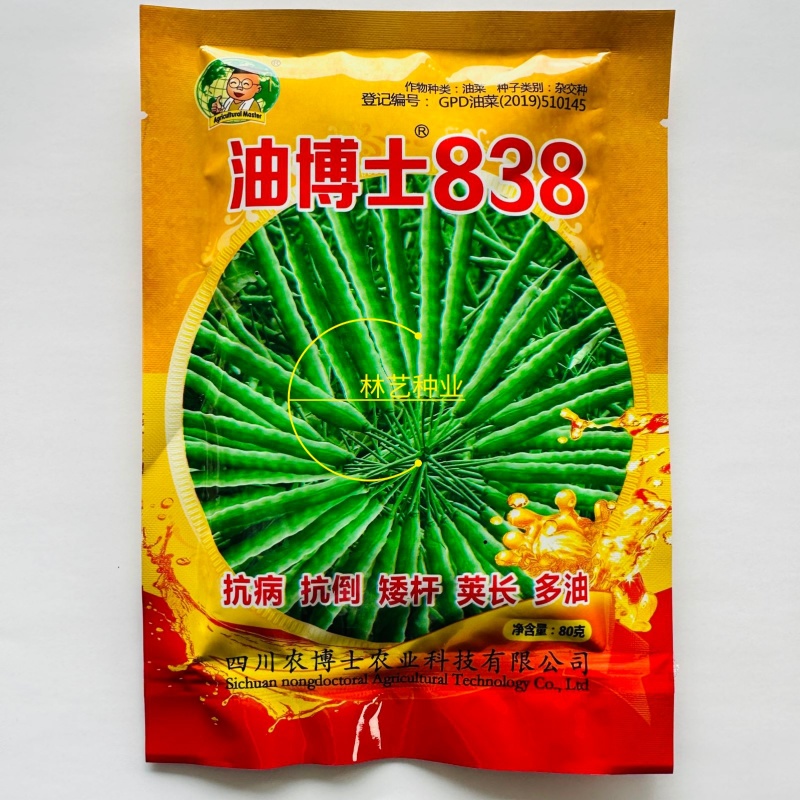 油博士838油菜种子优质抗病强抗倒油菜花种籽矮杆多油油菜