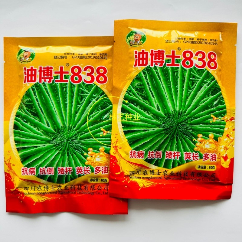 油博士838油菜种子优质抗病强抗倒油菜花种籽矮杆多油油菜