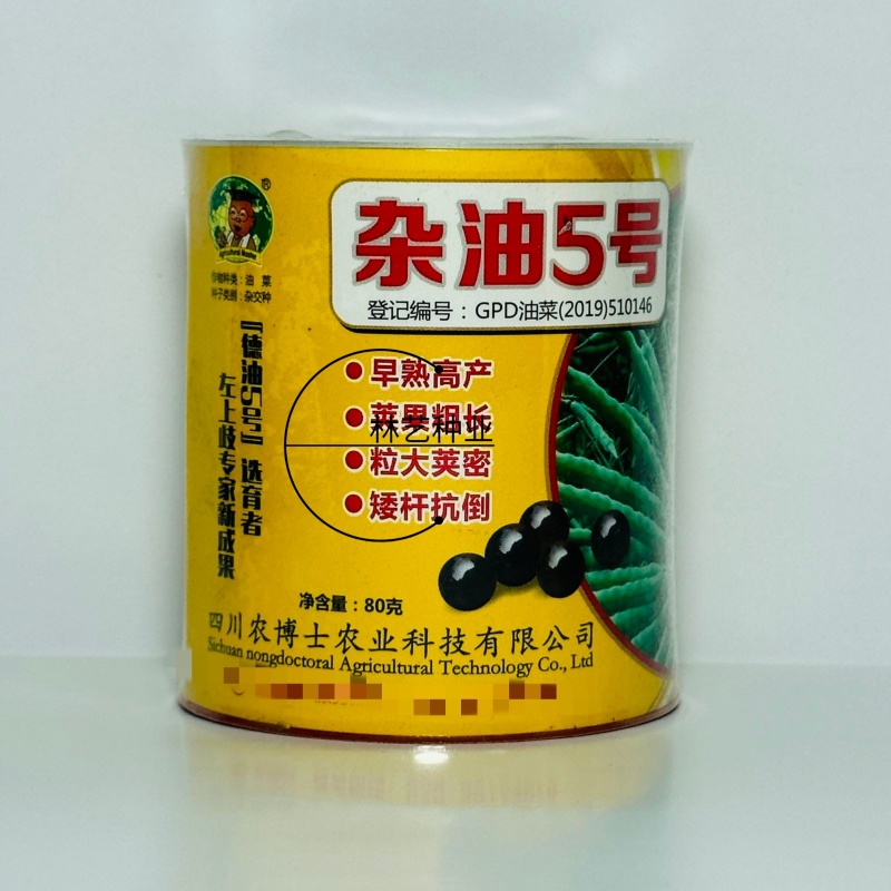 四川杂油5号油菜种子矮杆抗倒粒大荚密抗病高产油菜籽种子