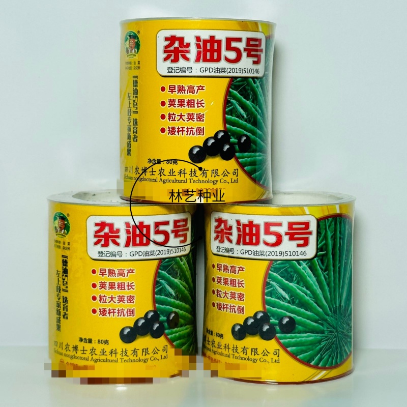 四川杂油5号油菜种子矮杆抗倒粒大荚密抗病高产油菜籽种子