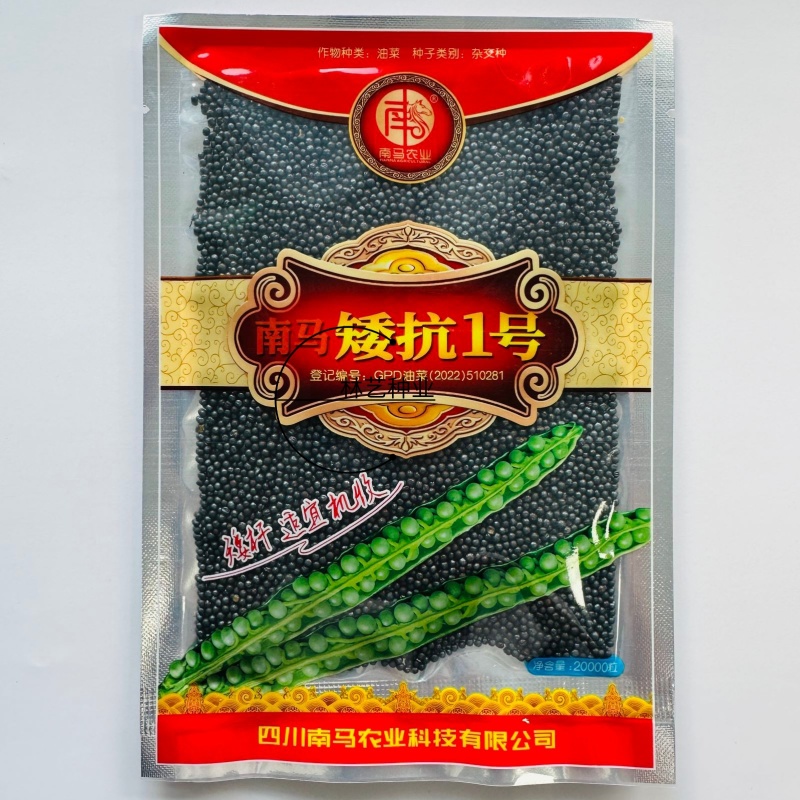 南马矮抗1号油菜种子高产高油抗病抗倒伏农家秋季播种耐寒蔬