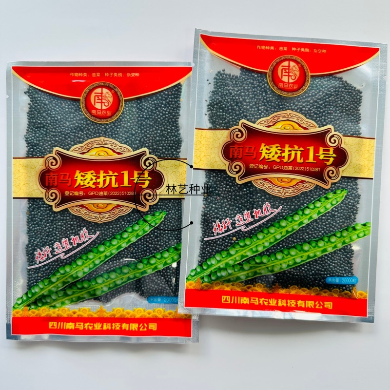 南马矮抗1号油菜种子高产高油抗病抗倒伏农家秋季播种耐寒蔬