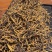 产地虫草无杂质正品保障冬虫夏草干货源充足礼盒包装欢迎订购