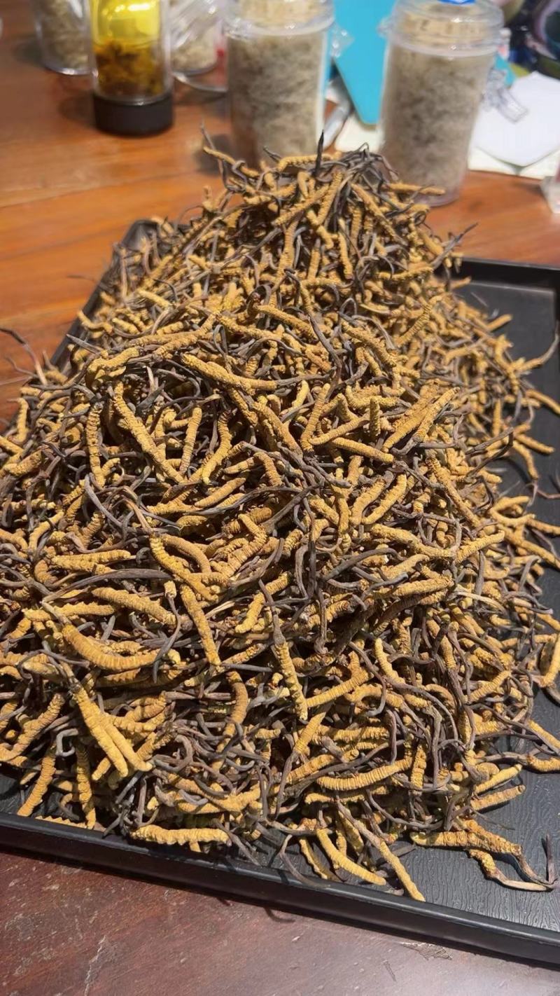 产地虫草无杂质正品保障冬虫夏草干货源充足礼盒包装欢迎订购