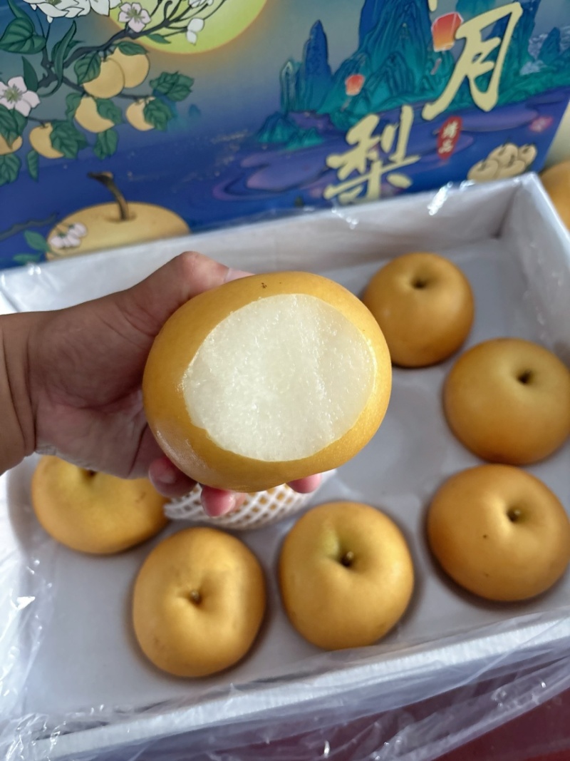原产地供货商：秋月梨，大量上市，价格美丽！