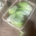 烂市价精品大白菜，云南大白菜，电商，市场随心所欲
