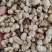 河南南阳西峡干香菇脚片一手货源量自家工厂厚薄可选量大