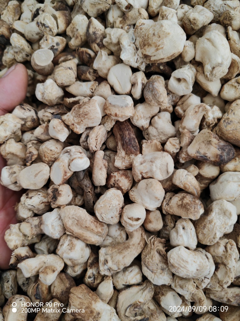 河南南阳西峡干香菇脚片一手货源量自家工厂厚薄可选量大