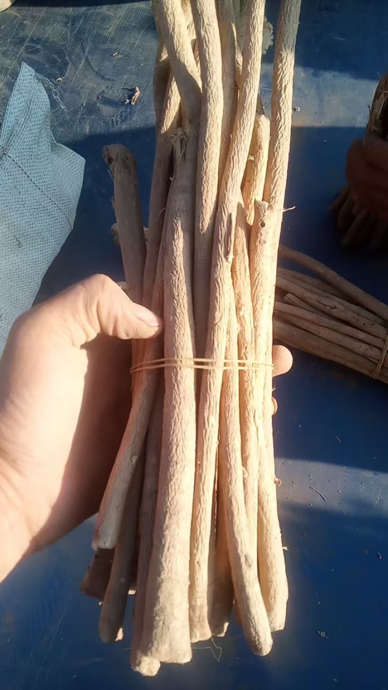 甘肃定西黄芪，产地直发，货源保证，一手货源，质量保证