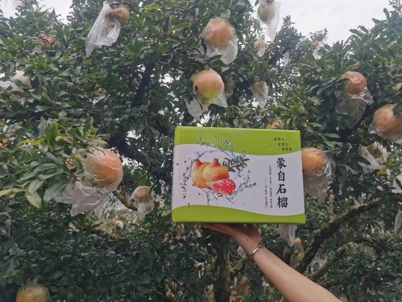 正宗蒙自甜石榴