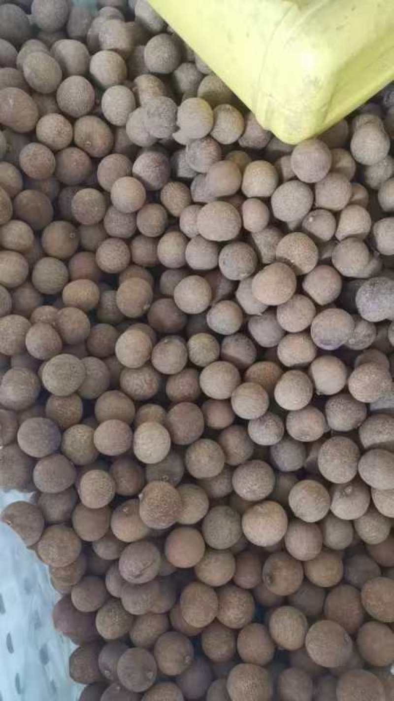 龙眼干