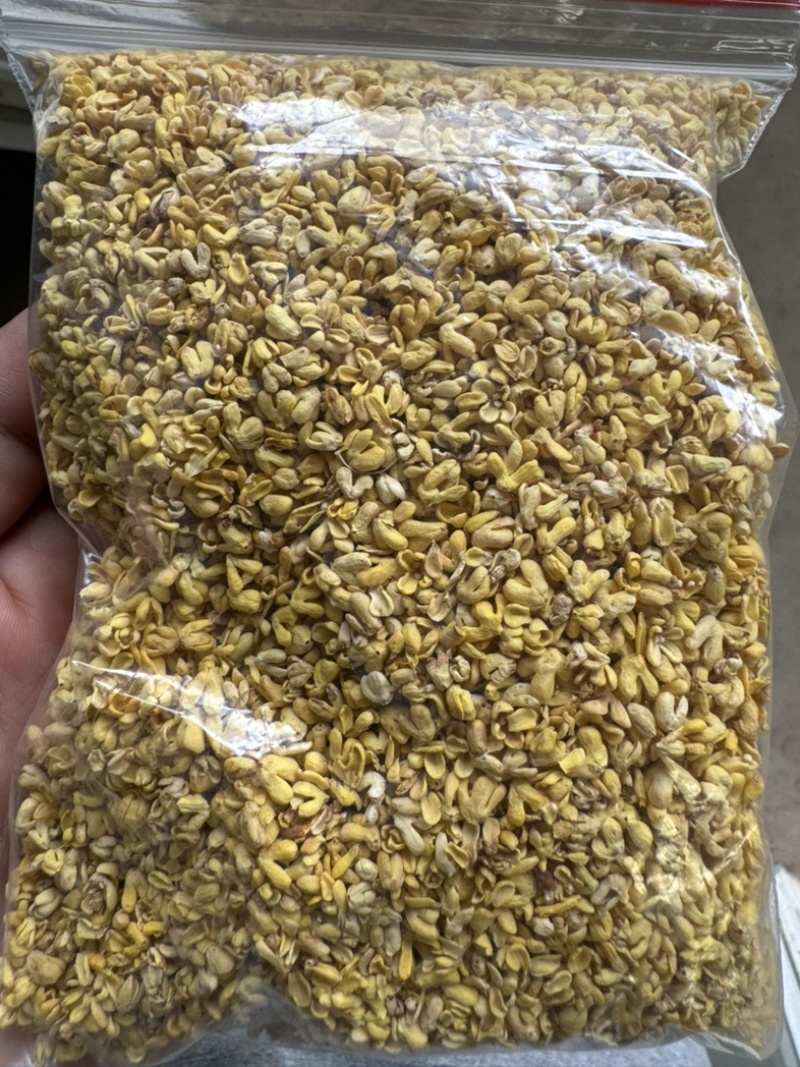 桂林厂家干桂花微波烘干5A等级品质散装批发