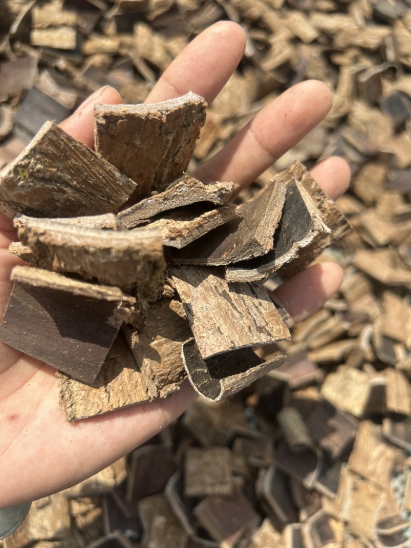 杜仲皮干货刮粗皮多种规格高压清洗产地货源量大从优